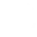 safariball